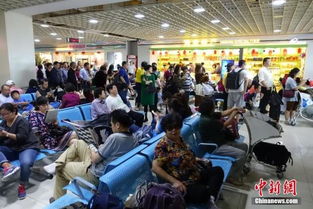 海南出臺商品住宅價格備案新規 備案后半年內不得調高，助力旅游業發展